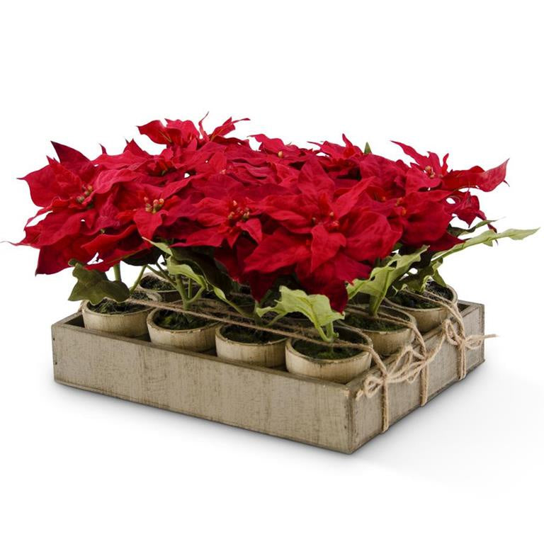 Potted Red Poinsettia