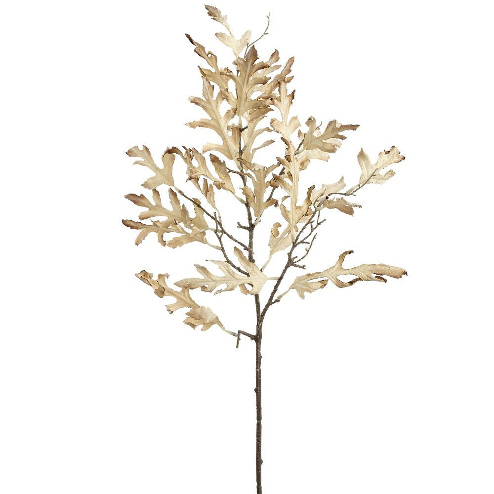 Dried-Look Oak Leaf Spray - 32"