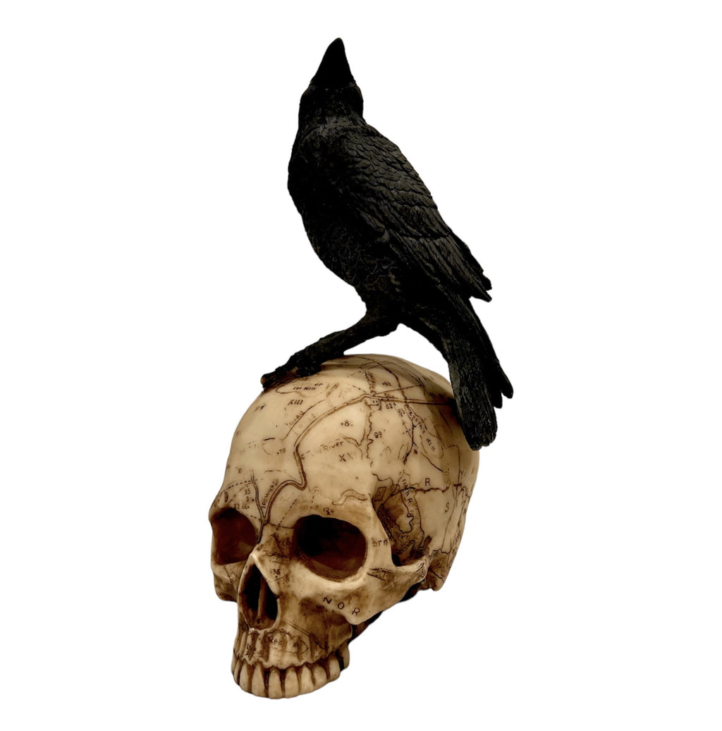 Spooky Skull & Crow Decor